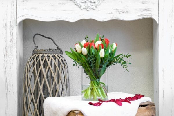 tulipes rouges et blanches