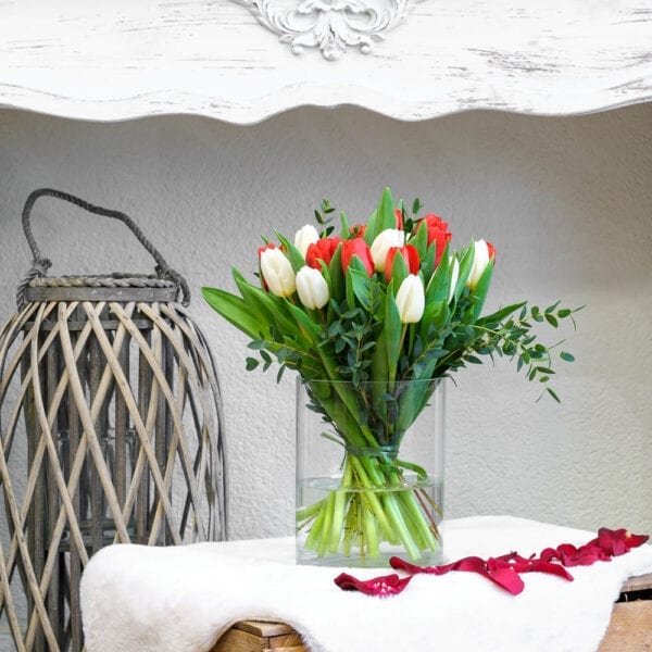 tulipes rouges et blanches